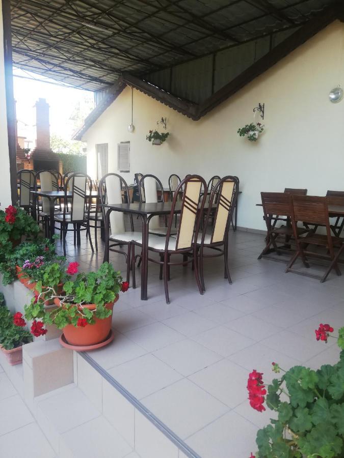 كوستِنيست Villa Pescarus المظهر الخارجي الصورة